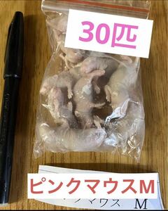  рефрижератор розовый мышь M размер примерно 3cm 30 шт комплект большой рыба рептилии рефрижератор .. включение в покупку возможно Kanto * Shinetsu * Hokuriku * Chuubu * Kansai * China * Сикоку Kyushu бесплатная доставка 