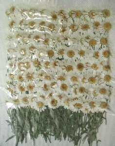  для бизнеса засушенный цветок no- sport белый лист имеется большая вместимость 250 листов сухой цветок декоративный элемент resin . печать 