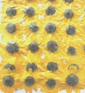  business use pressed flower material Mini hi around lemon yellow color 300 wheel go in high capacity 300 sheets dry flower deco resin . seal 