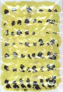  для бизнеса засушенный цветок анютины глазки желтый цвет большая вместимость 500 листов сухой цветок декоративный элемент resin . печать 