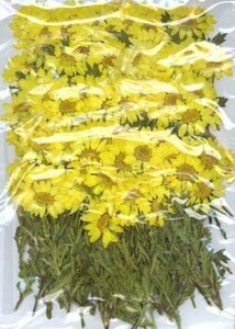  для бизнеса засушенный цветок no- sport лист имеется желтый цвет окраска большая вместимость 300 листов сухой цветок декоративный элемент resin . печать 