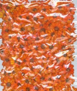  для бизнеса засушенный цветок материалы jinia большая вместимость 500 листов сухой цветок декоративный элемент resin . печать 