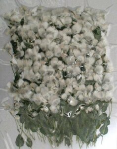  для бизнеса засушенный цветок тормозной диск nse. лист имеется белый большая вместимость 500 листов сухой цветок декоративный элемент resin . печать 