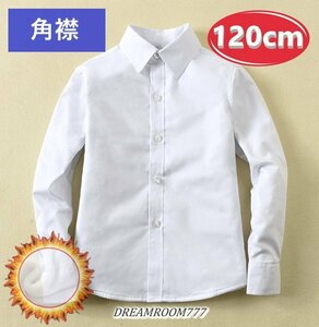  теплый ~.! обратная сторона ворсистый * угол воротник блуза [120cm] рубашка белый рубашка школьная форма формальный праздничные обряды форма 