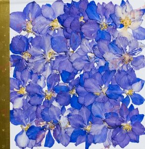  бесплатная доставка * подлинный товар засушенный цветок материалы ручная работа материалы для цветочной композиции DR145-B засушенный цветок тысяч птица . голубой 