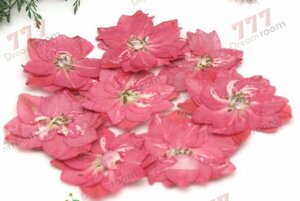  бесплатная доставка * подлинный товар засушенный цветок материалы ручная работа материалы для цветочной композиции DR145K засушенный цветок тысяч птица . розовый 
