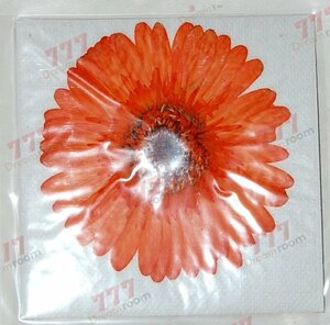  бесплатная доставка * подлинный товар засушенный цветок материалы ручная работа материалы для цветочной композиции DR100O вдавлено цветок материалы гербера orange 
