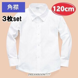  выгодный 3 листов set* хлопок 100% угол воротник блуза [120cm] рубашка белый рубашка школьная форма формальный праздничные обряды форма 