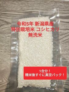 令和5年 新潟県産 特別栽培米 コシヒカリ 無洗米 1合 150g 真空パック