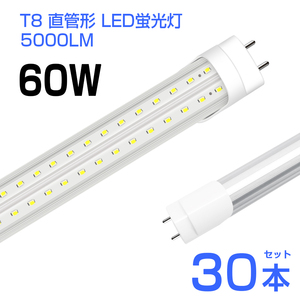  immediate payment!30ps.@led fluorescent lamp 60W shape T8 straight pipe LED fluorescent lamp 240 piece LED chip 5000LM daytime light color 6500K G13 120cm lighting angle 270° AC85-265V 1 year guarantee construction work un- necessary 