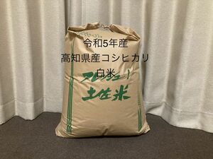 令和5年産高知県　コシヒカリ20kg白米