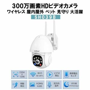 300万画素 防犯カメラ 監視カメラ 遠隔監視&動体検知 暗視撮影 多彩な録画モード SriHome★保証付き★顧客満足度100％★