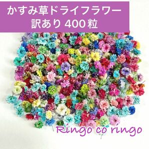 かすみ草 ドライフラワー ☆訳あり☆ 400粒 5