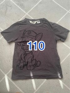 パウパトロール　チェイス　Tシャツ　H&M 110
