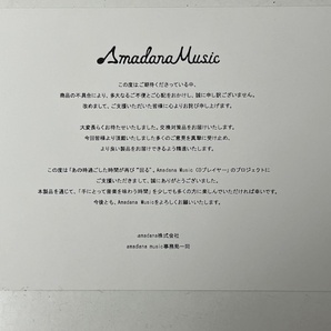 新品未使用 初期不良対策済 Amadana Music CD Player AM-PCD-101-S の画像4