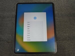 Apple iPad Pro 12.9 純正 フロントパネル 対応モデル A1876 A1895 A1983 A2014 現状品 D50458