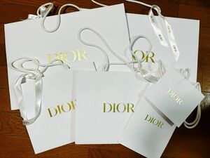 ディオール ショップ袋 特大、大、中、小の6枚セット　ショッパー 紙袋 ショッピングバッグ DIOR クリスチャンディオール