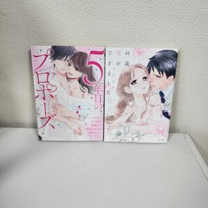 【中古本】41歳の兄ができました・５年目のプロポーズ 2冊セット 山口ねね