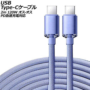 USB Type-Cケーブル パープル 2m 120W ナイロン編みタイプ オス-オス PD急速充電対応 AP-UJ0991-PU-2M