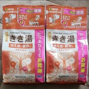 きき湯　食塩炭酸湯　詰替用　２袋　入浴剤　冷え性　疲労回復 バスクリン 