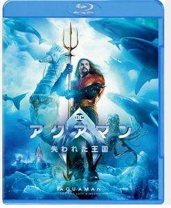 アクアマン/失われた王国 Blu-ray ディスクのみ 国内盤 