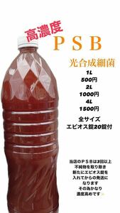 高濃度光合成細菌ＰＳＢメダカ 4L金魚 ゾウリムシ ミジンコ エサ 水質浄化 