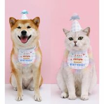 バースデイグッズ スタイ 誕生日 飾り 犬 猫 首輪 リード バースデー 猫服 犬服 195_画像8