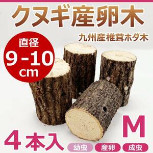 【RK】クヌギ産卵木　４本入　直径約9～10㎝　Mサイズ　九州産　椎茸　ホダ木　クワガタ産卵木に最適！！　カブトムシ・クワガタ　M44