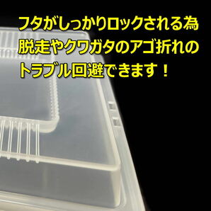 【RK】飼育ケース セパレートケース 小 3.5L 新品 3個 カブトムシ・クワガタ 成虫飼育に最適 コバエ抑制の画像4