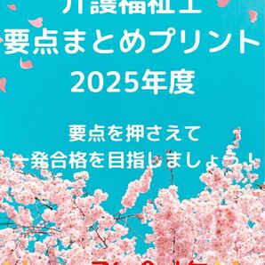 介護福祉士　国家試験対策　要点まとめプリント