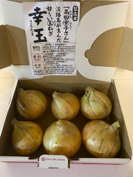 淡路島産　新玉ねぎ　早生　サイズ色々6玉　約1kg 