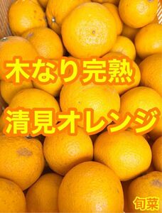 清見オレンジ　低農薬　木なり完熟　【ご家庭用】　約5キロ　別格で甘い