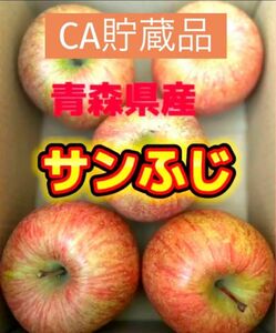 りんご サンフジ 正規品 5玉　CA貯蔵品