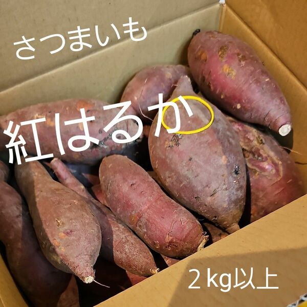 さつまいも　紅はるか　２kg　貯蔵品 