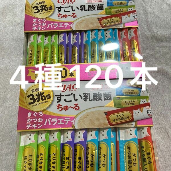 いなば　チャオ　すごい乳酸菌　ちゅ〜る　まぐろかつおチキンバラエティ　4種　14g×120本　ちゅーる　中身のみバラ梱包