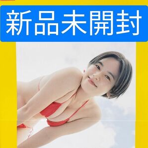 (新品未開封)筧美和子 写真集【ゴーみぃー】