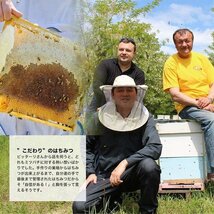 熊手のはちみつ 100％純粋 大容量 / 2kg ポリ 純粋蜂蜜 はちみつ ウクライナ産 69_画像3