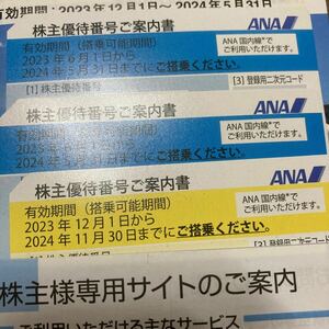 ANA 全日空 グループ優待券　株主優待　3枚　送料無料