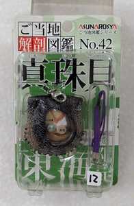 ＜未開封品＞■ご当地解剖図鑑 No.42 東海限定 真珠貝 あすなろ舎 フィギュア ■12981-12