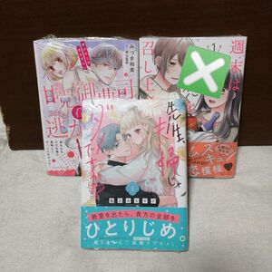 新品未開封　先生、夫婦じゃダメですか? 1