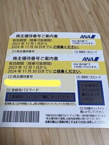 〜1円スタート〜ANA国内線〜株主優待券2枚組　　2024年11月30日まで。番号迅速に送ります。