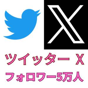 【最高品質★低価格★【X Twitter フォロワー5万人】♪おまけ便利なSNS増加ツール！ SNS YouTube TikTok X Twitter Instagram