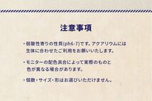 富士山溶岩 高濾過 溶岩石 3kg 50-100㎜ 黒 水槽 アクアリウム ビオトープ水槽　アクアリウム　石　水槽レイアウト　水質改善　メダカ_画像9