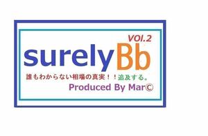 SurelyBb Vol.2 大特価提供します^_^★ BASICモデルです ★ 