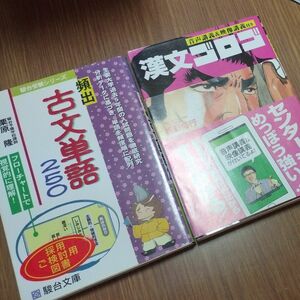 駿大受験シリーズフローチャートで覚える頻出古文単語250 大学入試漢文ゴロゴ板野博行