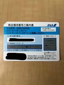 【番号通知のみ】ANA 株主優待券　有効期限20240531まで　2枚目