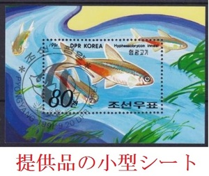 送料６３円★１９９１★北朝鮮★熱帯魚　ネオンテトラ★小型シート★切手★初日記念印★無糊　ヒンジ跡無