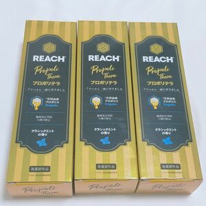 【120g×3本】REACH プロポリテラ クラシックミント