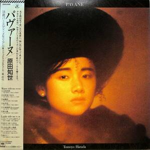 A00579003/LP/原田知世「Pavane (1985年・28AH-2008・カラーレコード・鳥山雄司・渡辺直樹・大谷和夫・井上鑑・山木秀夫・土岐英史etc参