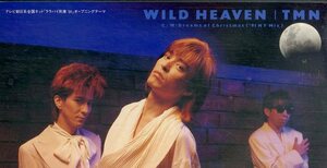 E00006587/3インチCD/TMN「Wild Heaven/Dreams Of Christmas (91 NY Mix)」